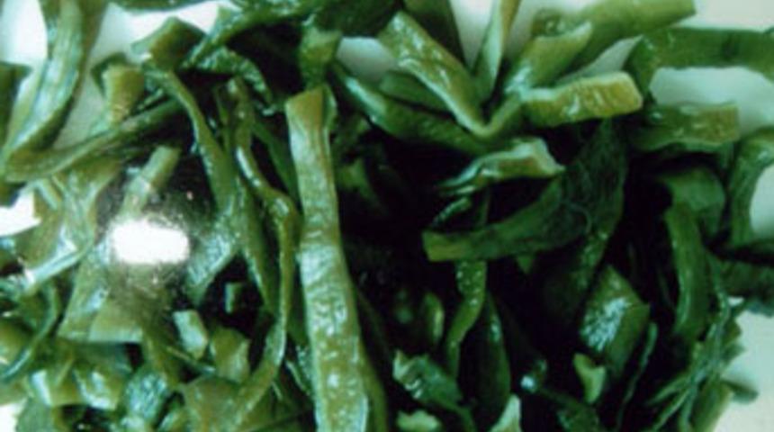 Esmer Yosunun sırrı?