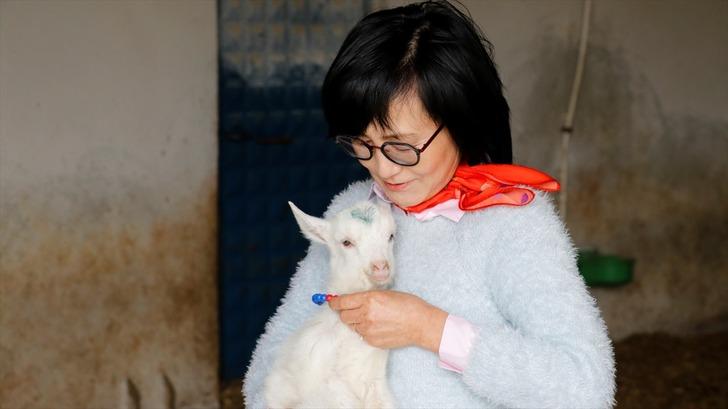 GÖRDÜĞÜ SICAK İLGİDEN SONRA TÜRKİYE'YE YERLEŞME KARARI ALDI