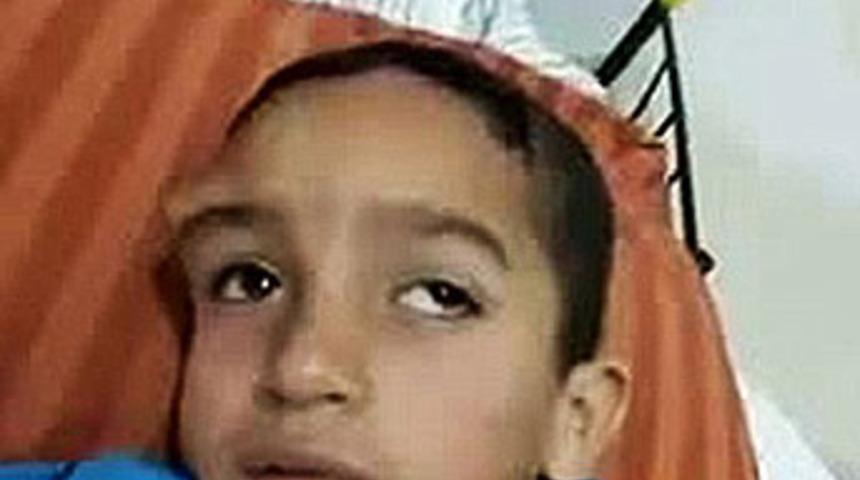 D&uuml;nyayı ayağa kaldıran fotoğraf