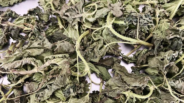 Isırgan otu faydaları nelerdir, hangi hastalıklara iyi gelir? Isırgan otu nasıl tüketilmeli?