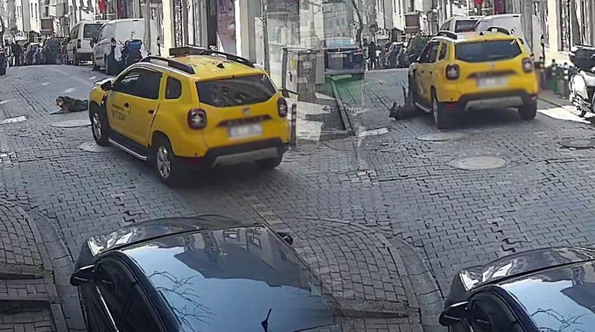 Balıkesir'de taksici k&ouml;peğin &uuml;zerinden ge&ccedil;ti! G&ouml;r&uuml;nt&uuml;ler sosyal medyada tepkilere yol a&ccedil;tı