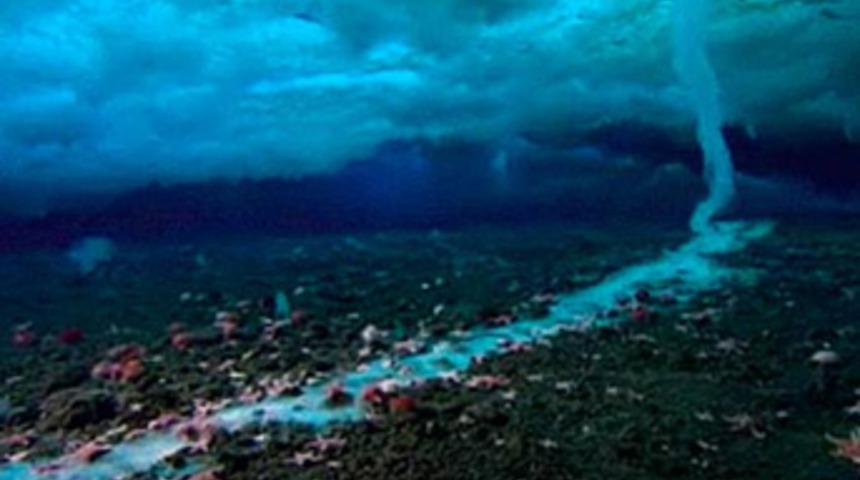 BBC'den bir ilk: '&Ouml;l&uuml;m sarkıtı' filme &ccedil;ekildi