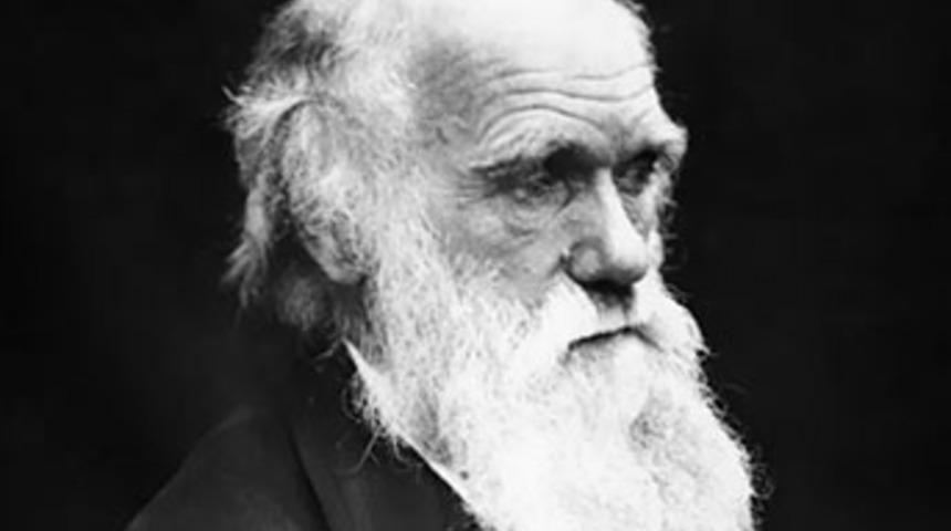 'Evrim' sansüre takıldı