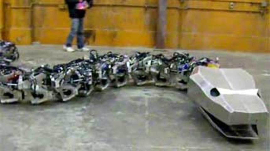 60 milyon yıllık fosil robotla canlandı