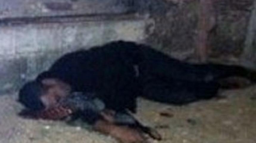 Başına tek kurşun