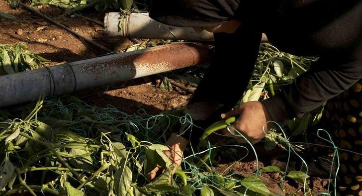 Yaklaştıkça 'Allah'ım sen koru! Kesil, kesil' diyerek dua ettiler! Yeni görüntüler ortaya çıktı 'Evdeydim, telefon geldi! Baktığımda hepsi gitmişti' G2