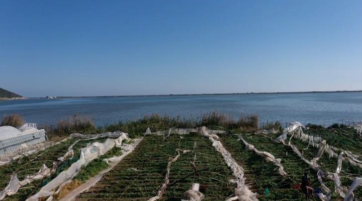 Yaklaştıkça 'Allah'ım sen koru! Kesil, kesil' diyerek dua ettiler! Yeni görüntüler ortaya çıktı 'Evdeydim, telefon geldi! Baktığımda hepsi gitmişti' G5