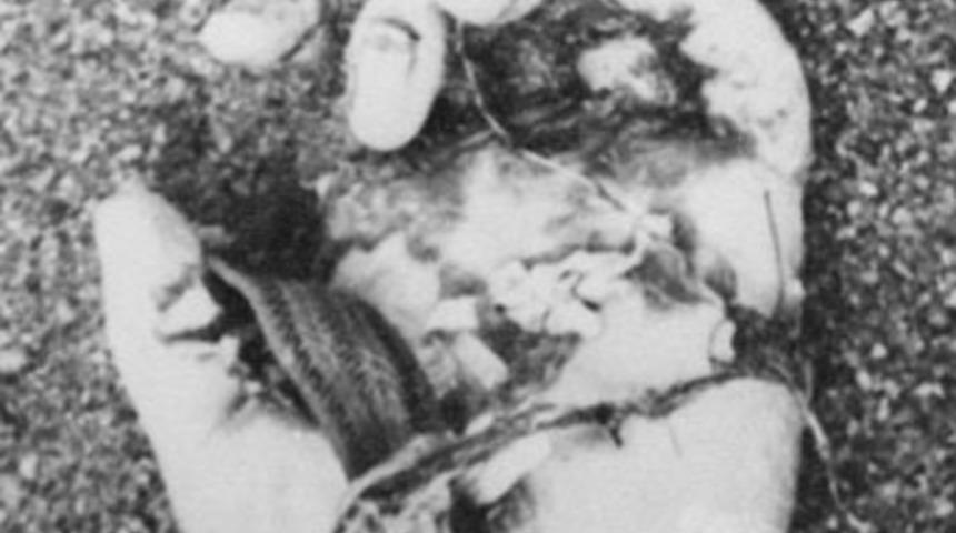 Dehşetin fotoğraflarını teslim ettiler!