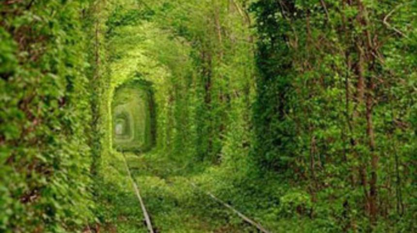 Yine yeşillendi demiryolları