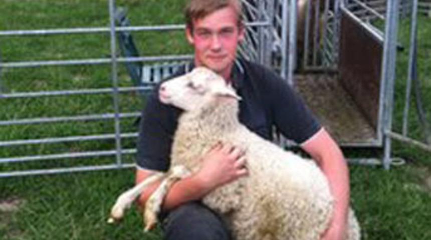 En demokratik twitter deneyimi İsveç’ten