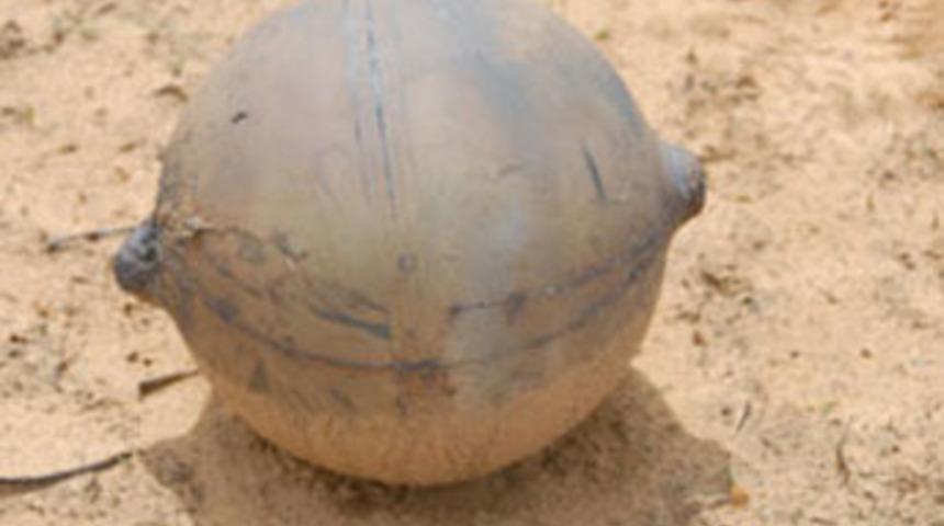 Gökten düştü, esrarı çözülemiyor