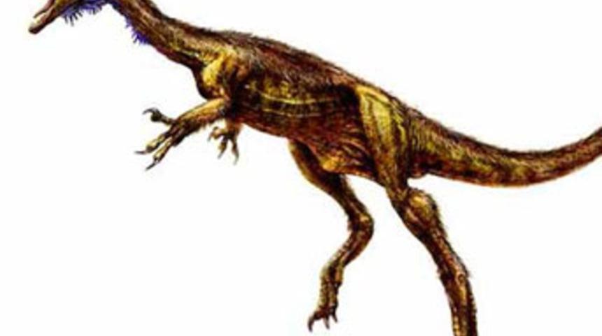 Çin’de yeni dinozor türü keşfedildi