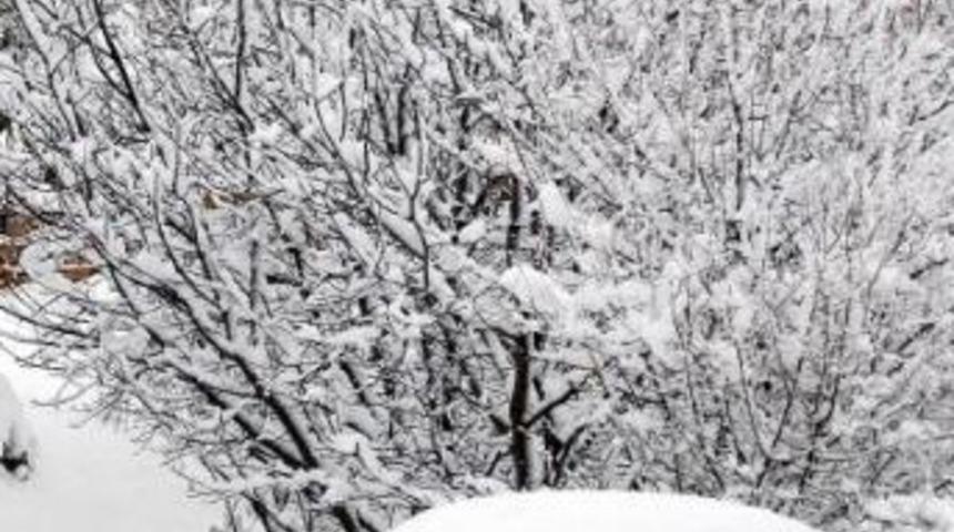 T&uuml;rkiye beyaza b&uuml;r&uuml;nd&uuml;