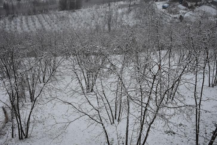 Dün güneşli havanın tadını çıkarmışlardı! Sabah uyandıklarında şaşkına döndüler 'Mevsimler şaşırdı' G1