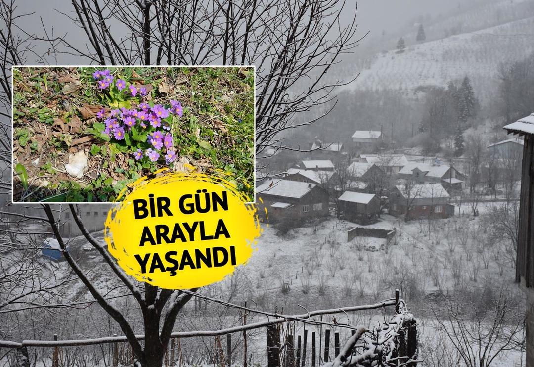 D&uuml;n g&uuml;neşli havanın tadını &ccedil;ıkarmışlardı! Sabah uyandıklarında şaşkına d&ouml;nd&uuml;ler 'Mevsimler şaşırdı'