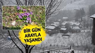 Dün güneşli havanın tadını çıkarmışlardı! Sabah uyandıklarında şaşkına döndüler 'Mevsimler şaşırdı'