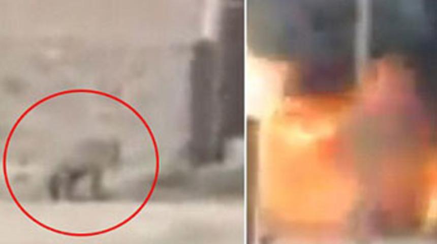 K&ouml;peği zevk i&ccedil;in havaya u&ccedil;urdular