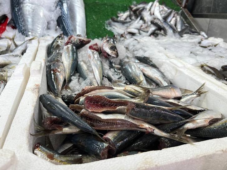 'Kırmızı ve beyaz etin yükselmesine inat aynı fiyatlarla devam ediyoruz' Et fiyatları artınca ona yöneldiler G5