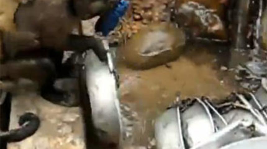 Bu maymundan her eve lazım