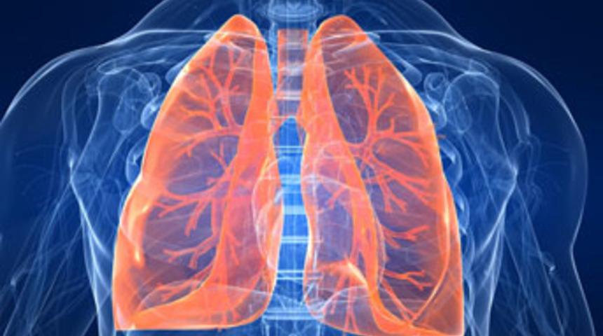 Verem hastası mikrobu bulaştırıyor