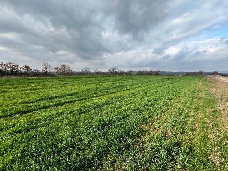 Emekli polis, eşini ve oğlunu öldürüp tarlaya gömmüştü! Vahşette yeni detaylar: Satırla parçalara ayırmış G1