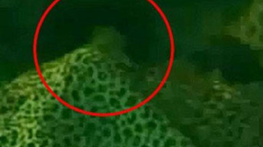 Canlı yayında tecav&uuml;z