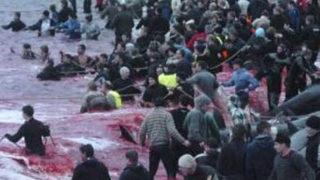 Dedelerini böyle anıyorlar