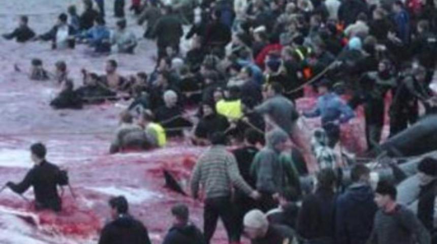 Dedelerini böyle anıyorlar