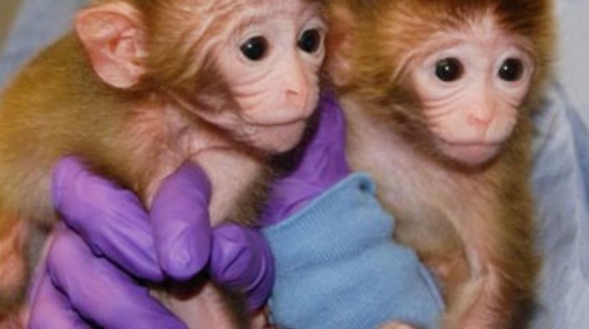 Bilim dünyasında bir ilk