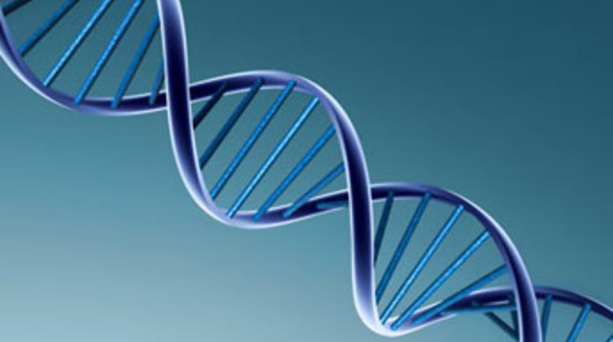 T&uuml;rklere &ouml;zel bir genom bulunamadı