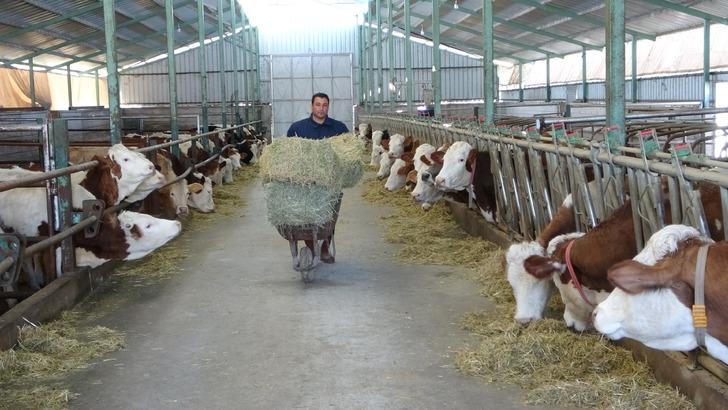 Hayalindeki mesleğe çok yaklaşmışken bir anda vazgeçti! Tavsiye üzerine harekete geçti... 12 dönümlük alana kurdu, üretim yapıyor G1