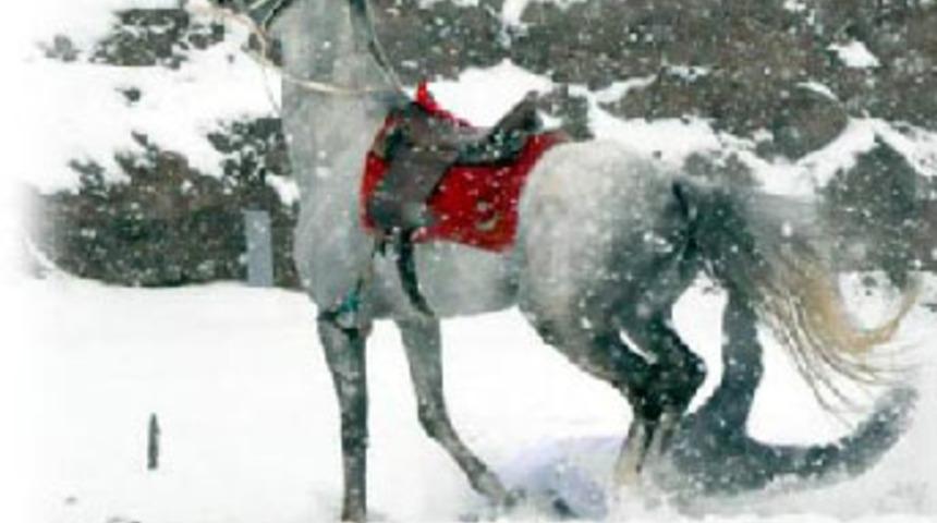 Attan düşen işadamı ölümden döndü