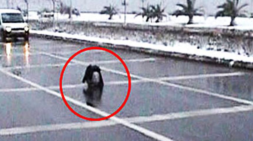 Yok artık! Bu kadarı da olmaz