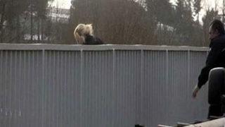 Ölüme böyle atladı