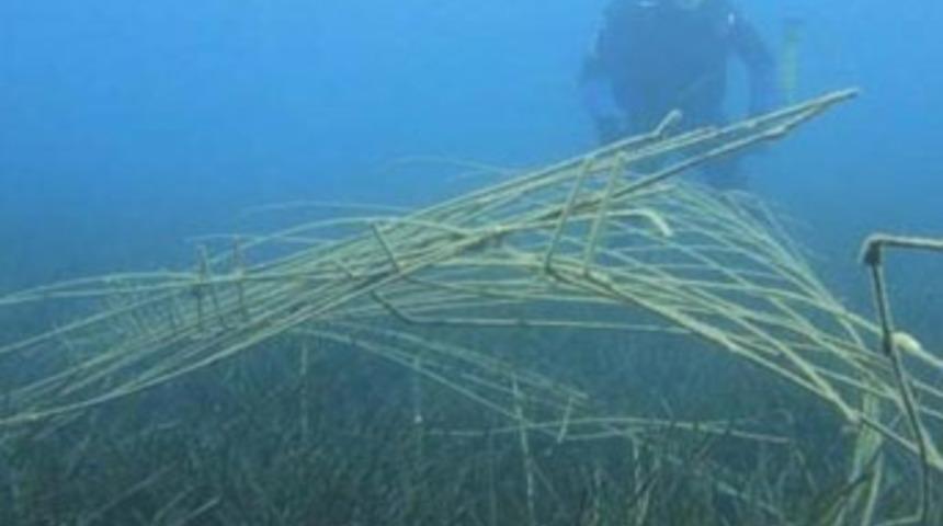 Marmaris'te büyük tehlike!