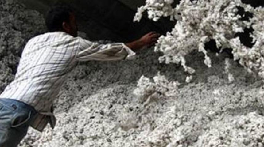 Bedava ila&ccedil; 116 can aldı