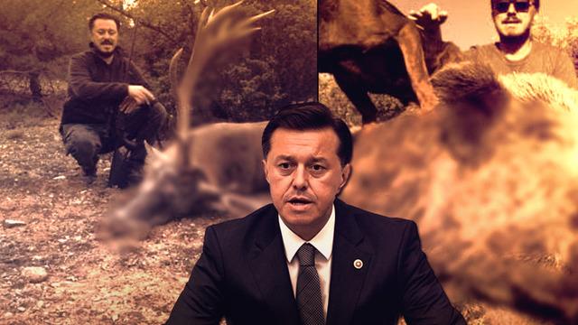 Hayvan bakımevi ve 'pati kulübü' vaat etmişti! AK Parti'nin Eskişehir adayı Nebi Hatipoğlu'nun av görüntüleri ortaya çıktı