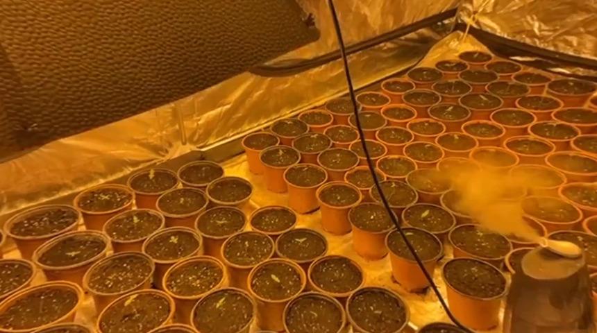 Yılanlar da &Ccedil;abuklar da aralarında! Elebaşlarıyla birlikte teker teker yakalandılar: 6 &ccedil;ete daha &ccedil;&ouml;kertildi