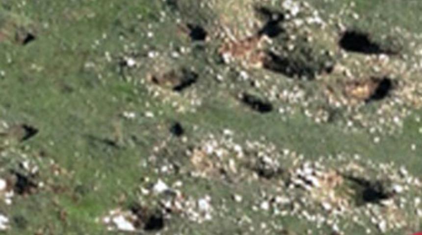 Kimse onlarla baş edemiyor