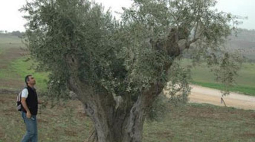 Cudi Dağı'nda şok eden görüntü!