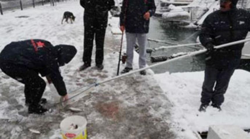 Kar yağışıyla gelen şaşırtan manzara