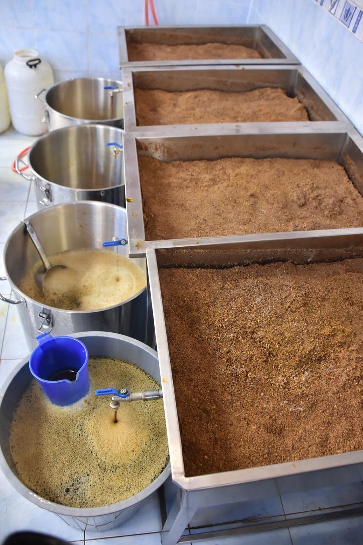 2 litresini 25 TL'ye satıyorlar! O bitkinin kökünden yapılıyor... Şifa dolu 'İple çekiyoruz, içmeyenlere tavsiye ederim' G4