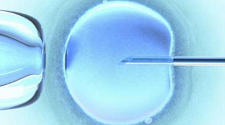 Kadınlara sınırsız yumurta müjdesi