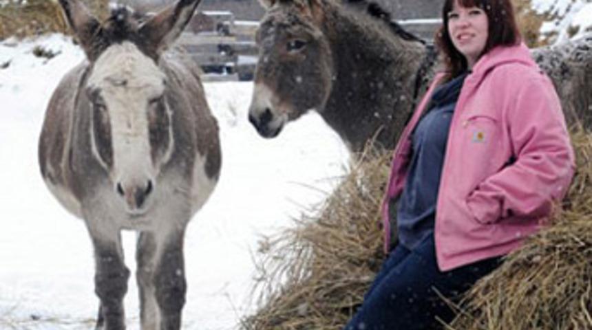 Hamile kaldı, anırmaya başladı
