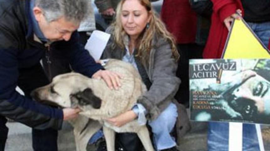Ka&ccedil;ırdığı k&ouml;peğe tecav&uuml;z ederken yakalandı