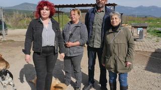 Balıkesir'de sahipsiz hayvanlar için besleme noktasına bırakılan yiyeceklerin çalındığı iddiası