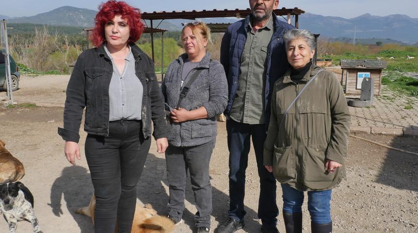 Balıkesir'de sahipsiz hayvanlar için besleme noktasına bırakılan yiyeceklerin çalındığı iddiası