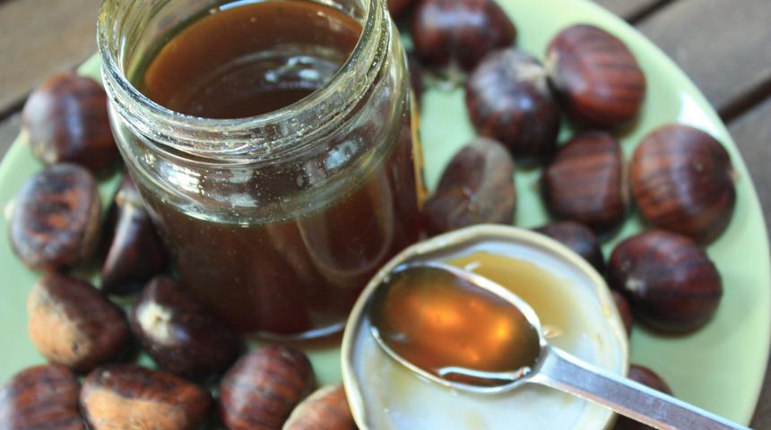 Kestane balının faydaları nelerdir? Kestane balı balgam söker mi, yatarken kestane balı yenirse ne olur?