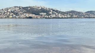 İzmit Körfezi'ndeki renk değişiminin alg çoğalmasından kaynaklandığı belirlendi