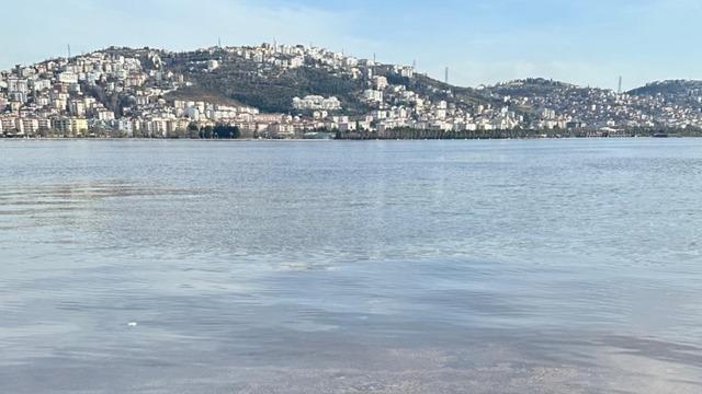 İzmit Körfezi'ndeki renk değişiminin alg çoğalmasından kaynaklandığı belirlendi